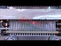 เครื่องบรรจุของแห้ง / หนาว 20 สาย